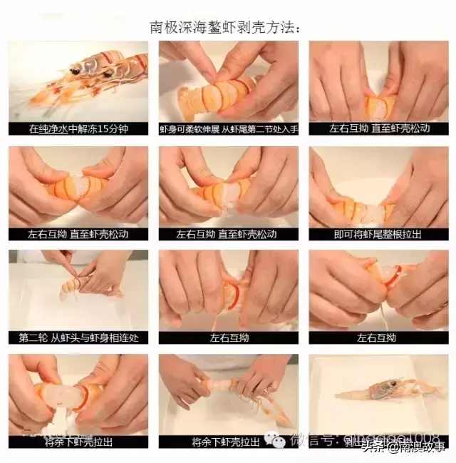 虾类养殖技术_九节虾的养殖技术_虾类养殖