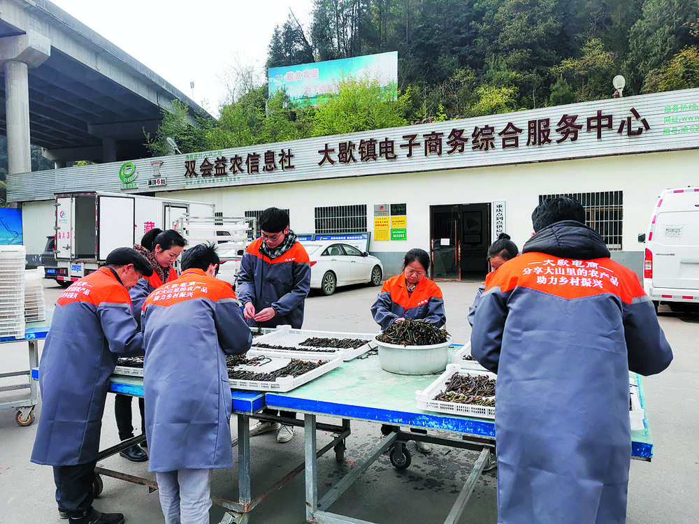 种植黑花生走上致富路_种植黑花生走上致富路_种植黑花生走上致富路