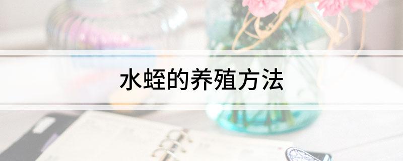 海南蚂蚱养殖基地_海南有养水蛭的吗_海南蚂蝗养殖技术