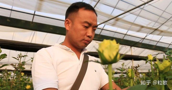 缬草种植前景_缬草种植技术_种植缬草致富人