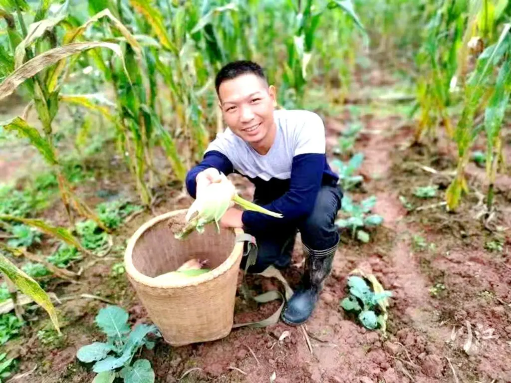 致富种植田地图片_农村致富种植_田地种植致富