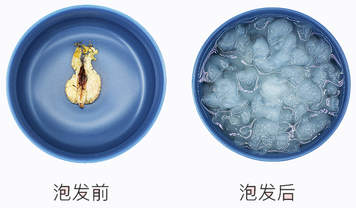 视频养殖东北技术林蛙教程_东北林蛙人工养殖_东北林蛙养殖技术视频