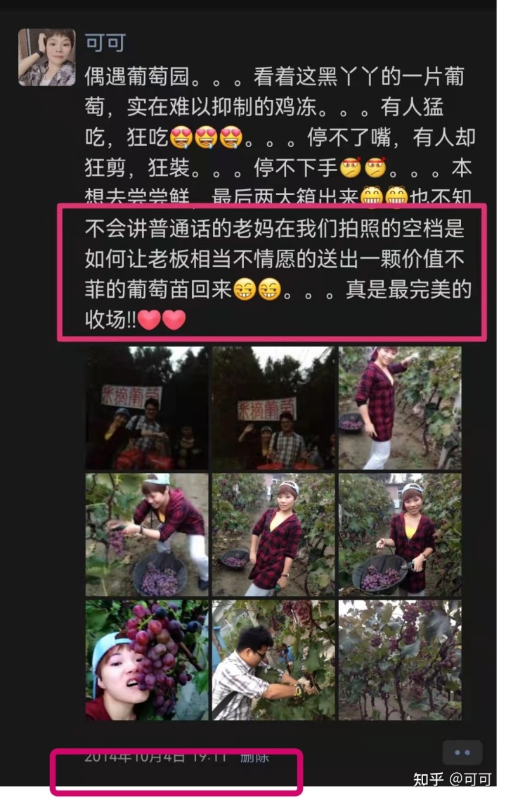 海南致富的种植业_海南种植业前景_致富经种植海南