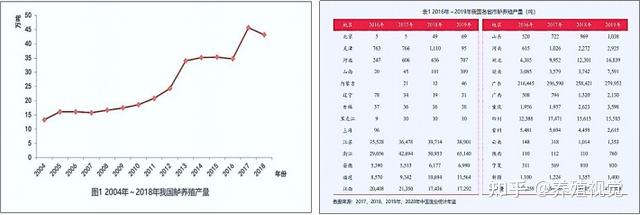 水产养殖中的“网红鱼”——加州鲈