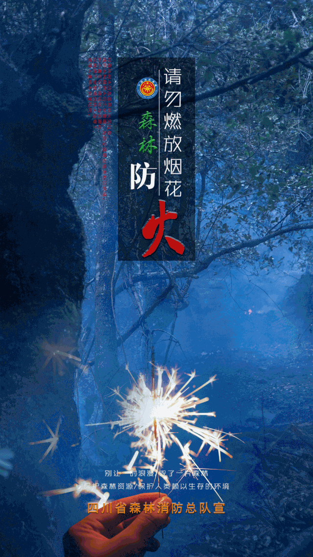 荒山种植致富竹_致富经竹子创业_竹林致富