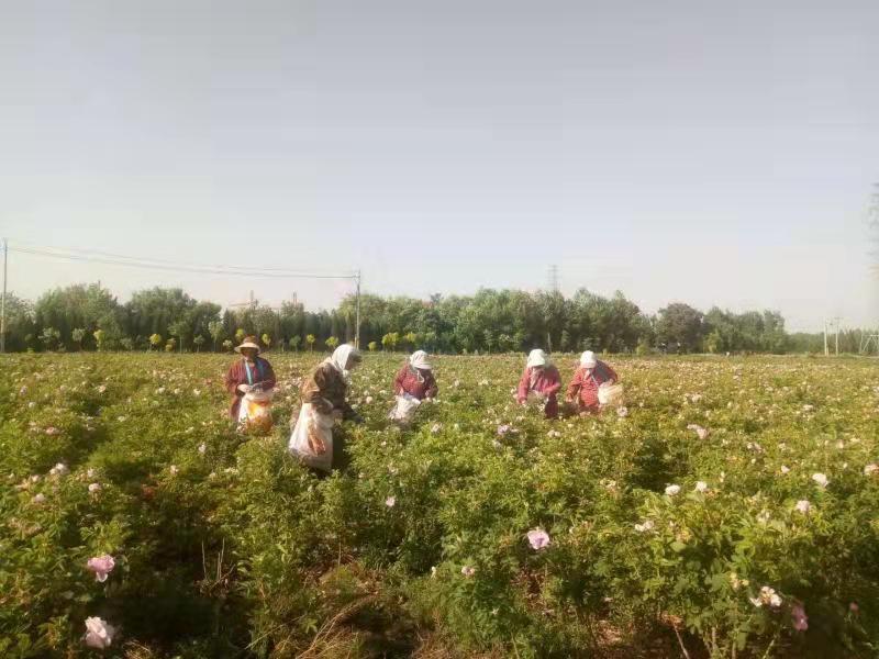 致富经榜样20强_开店成功案例小店经营致富榜样_怎样致富致富