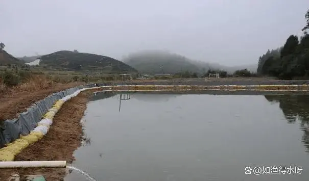 蟹塘水肥不肥怎么看？养螃蟹怎么肥水效果好一点？一看就懂