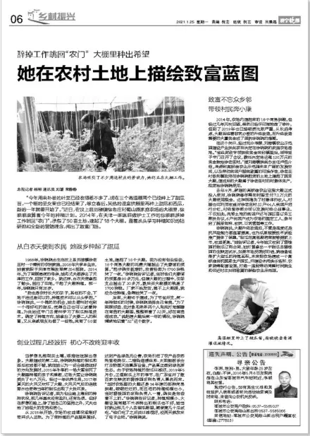 农村致富新项目种植_农村致富 种植_农村致富种植项目