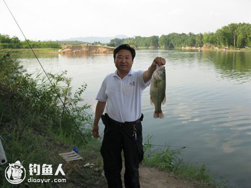 夏天王八怎么养_王八养殖技术夏天_王八养殖视频教学