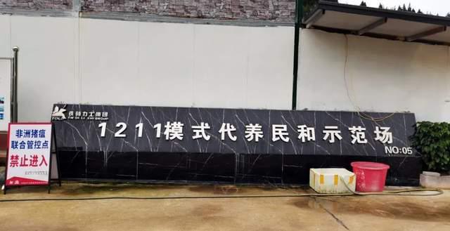 养猪致富案例_致富养殖养猪行业现状_养猪养殖致富行业
