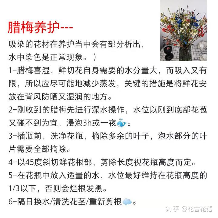三角梅花养殖技术_三角梅花的养殖方法视频教程_三角梅花养殖技术和管理