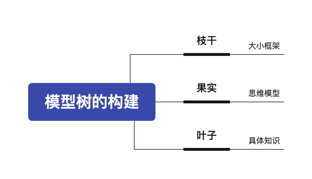 梨树种植新技术_种植梨树技术新闻报道_种植梨树前景如何