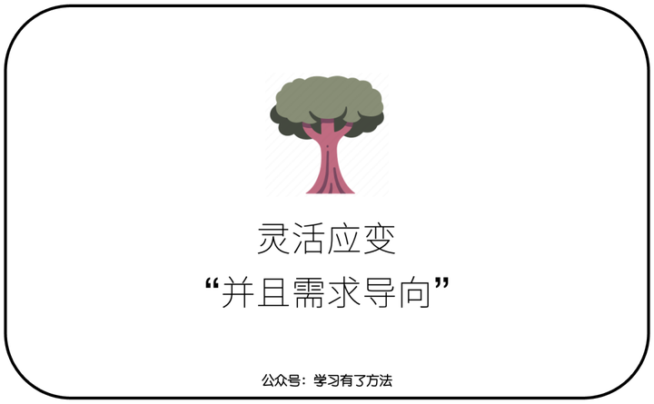 种植梨树技术新闻报道_种植梨树前景如何_梨树种植新技术
