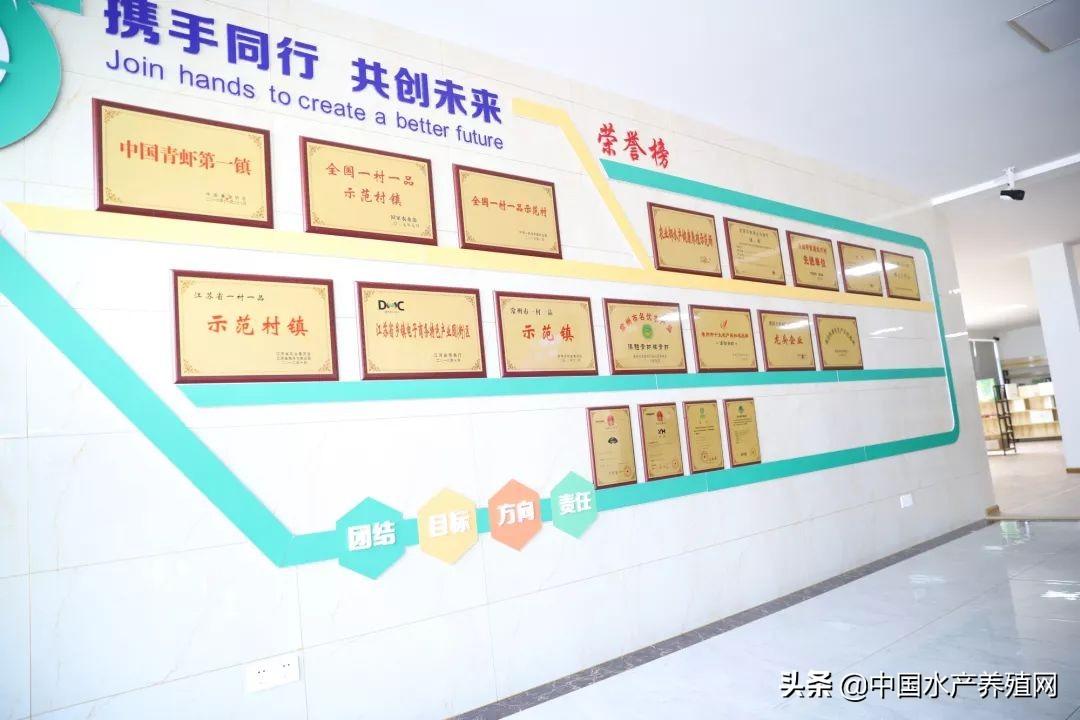 江苏养殖致富项目_致富养殖江苏项目有哪些_致富养殖好项目