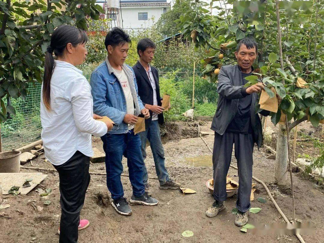 农村种植致富能手发言稿_农村种植致富能手事迹材料_农村致富种植能手