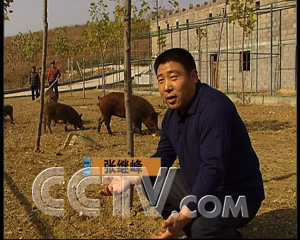 [致富经]张继峰的野猪山庄（2007.11.27）