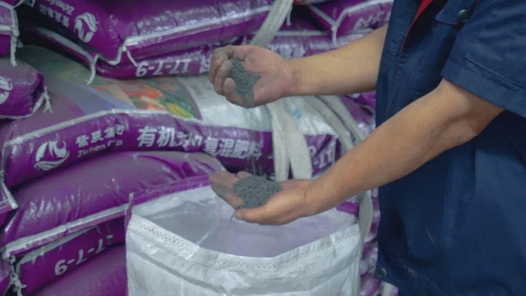 韶州小农拍摄甘蔗种植视频_农广天地甘蔗种植技术视频_致富经农村种甘蔗视频
