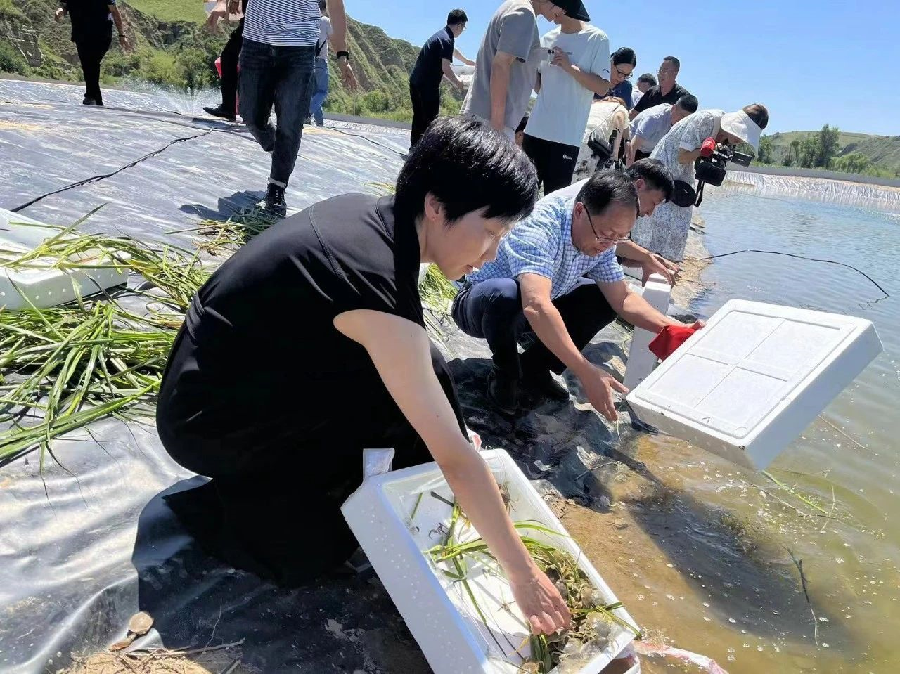 养青蟹养殖技术_养殖青蟹技术与方法_青蟹养殖前景