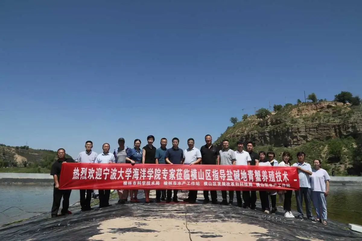 青蟹养殖前景_养青蟹养殖技术_养殖青蟹技术与方法
