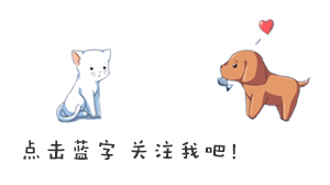 农村脱贫致富，不耽误农活，可以做这3种养殖副业