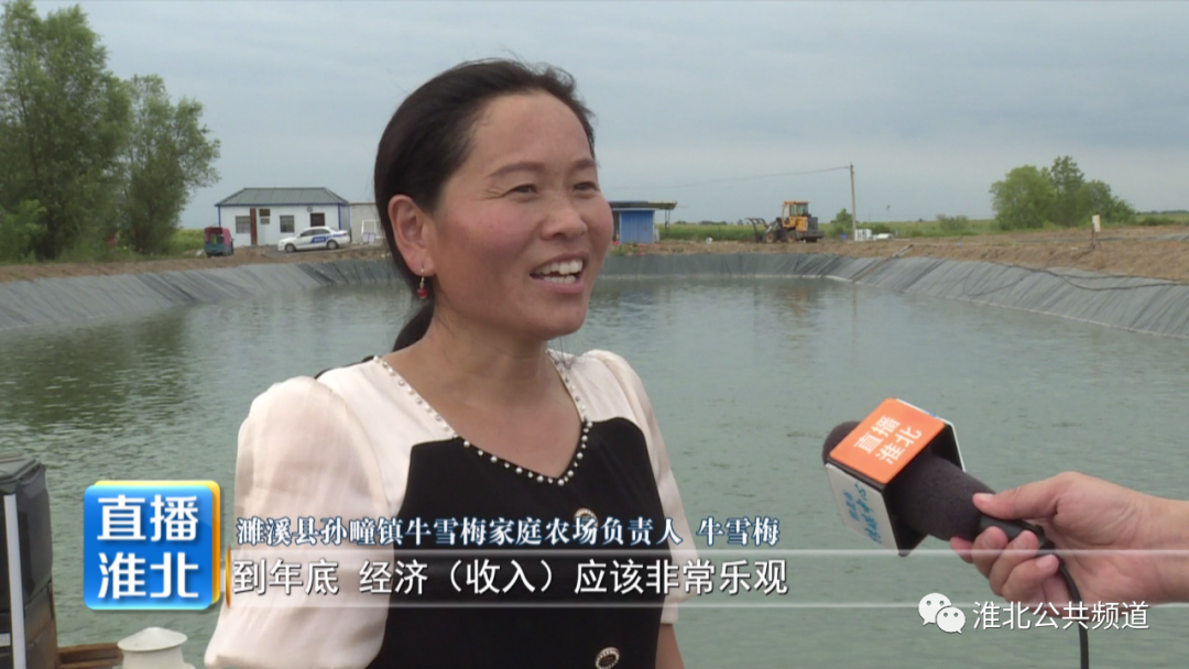 牛雪梅：沉陷区建鱼塘 养殖走上致富路