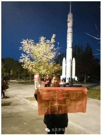央视致富经2021_2020央视致富经_2015中央7致富经视频