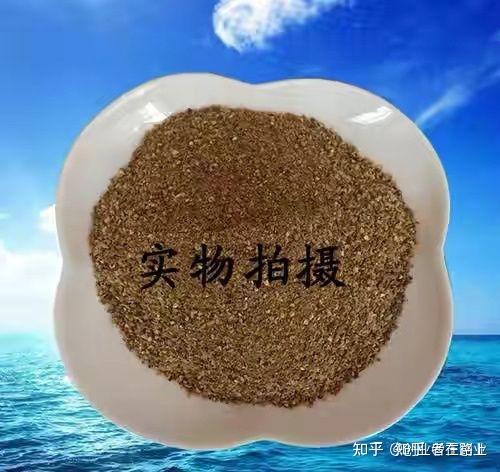 东北养殖什么致富_东北养殖项目_东北农村养殖致富门路