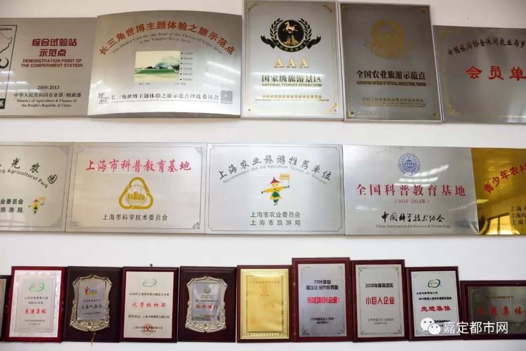 种葡萄大棚挣钱吗_种植藤引葡萄大棚致富_葡萄树大棚种植
