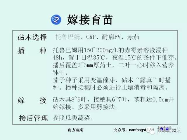 茄子高产种植技术与管理_茄子种植高产技术_茄子高产种植技术视频