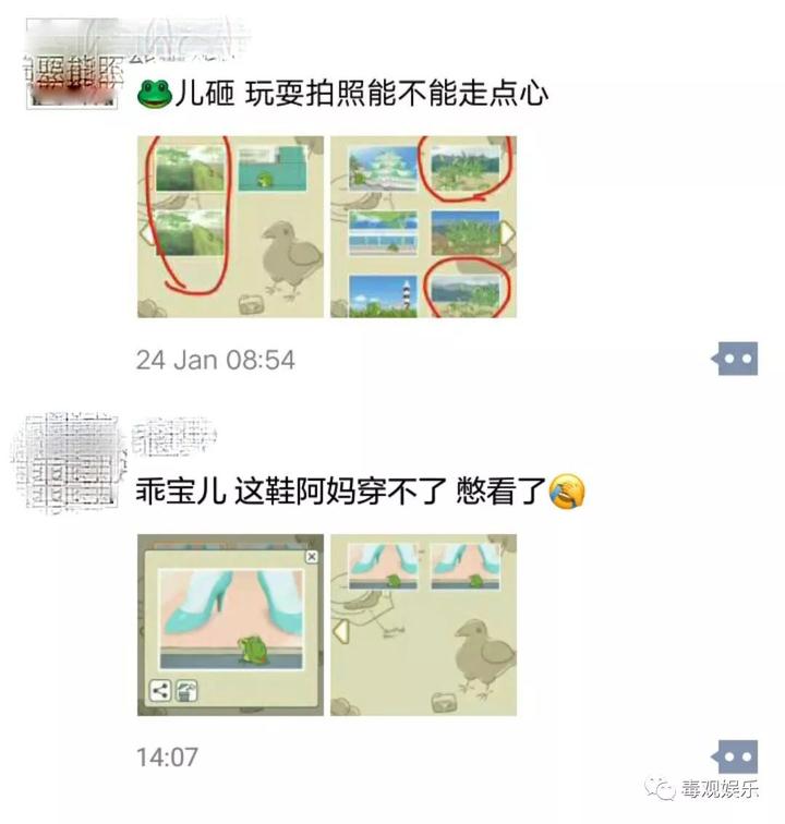 青蛙养殖技术大揭秘_青蛙养殖技术大揭秘_青蛙养殖技术大揭秘