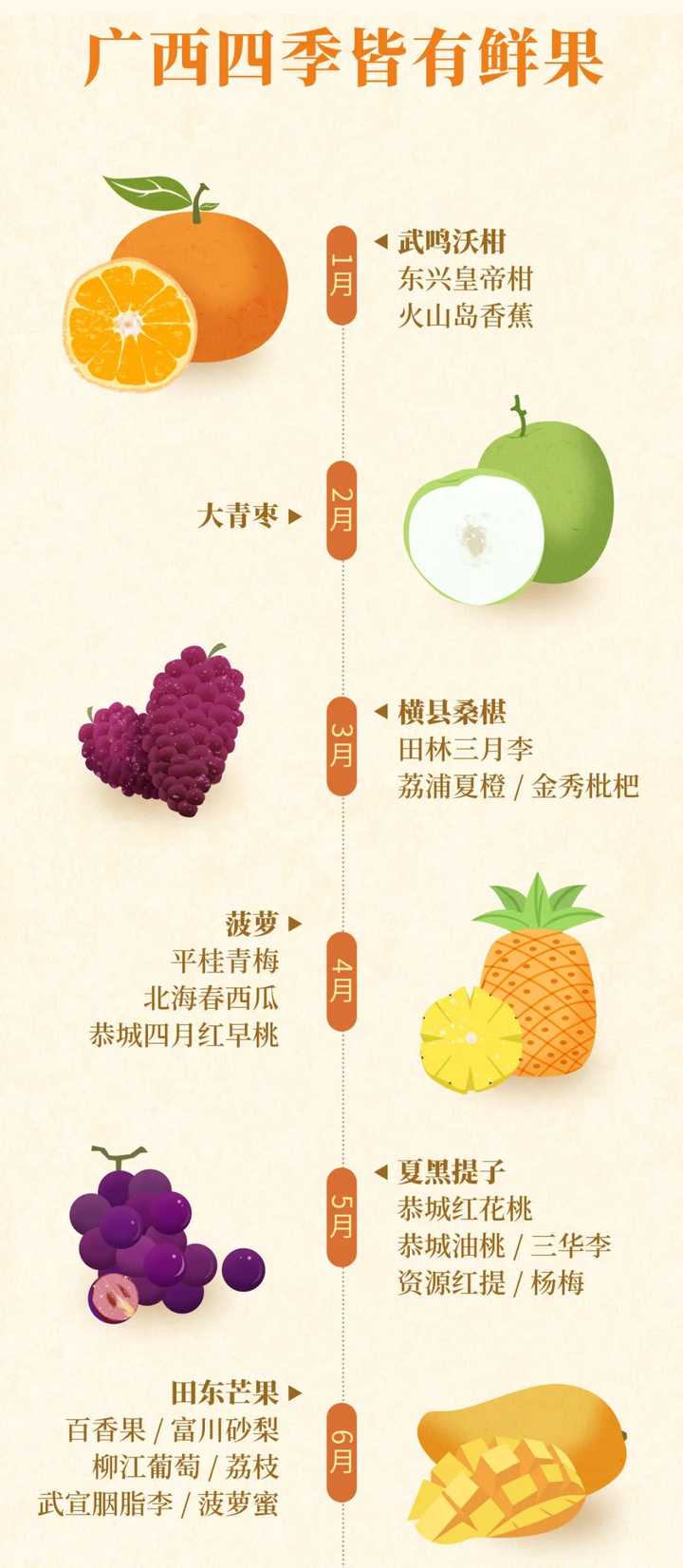 地黄种植致富_种植地黄的效益_地黄种植技术及经济效益