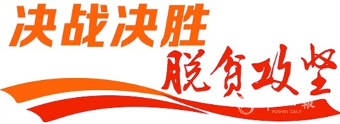 南海对口帮扶罗定大石村打造万亩南药种植基地