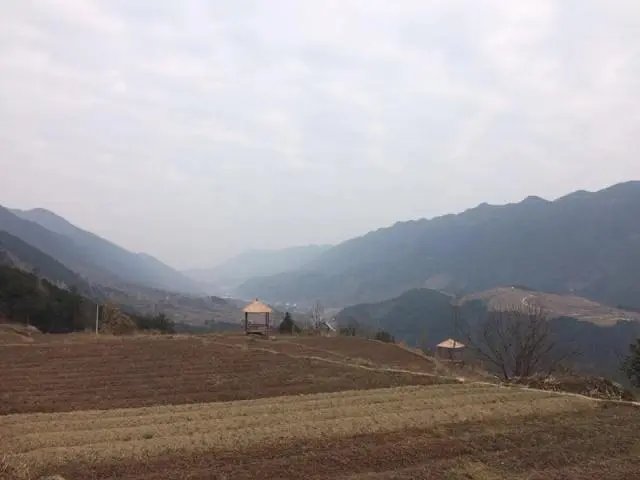 致富经一一水果甘薯_甘薯产品_高产甘薯