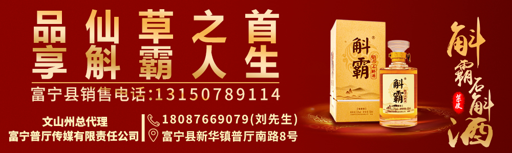 养蜂致富靠真经_致富经之养蜂_养蜂致富真的可以吗