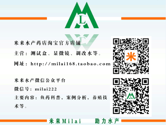 乌鱼养殖致富_致富养殖乌鱼怎么样_养殖乌鱼要投资多少钱