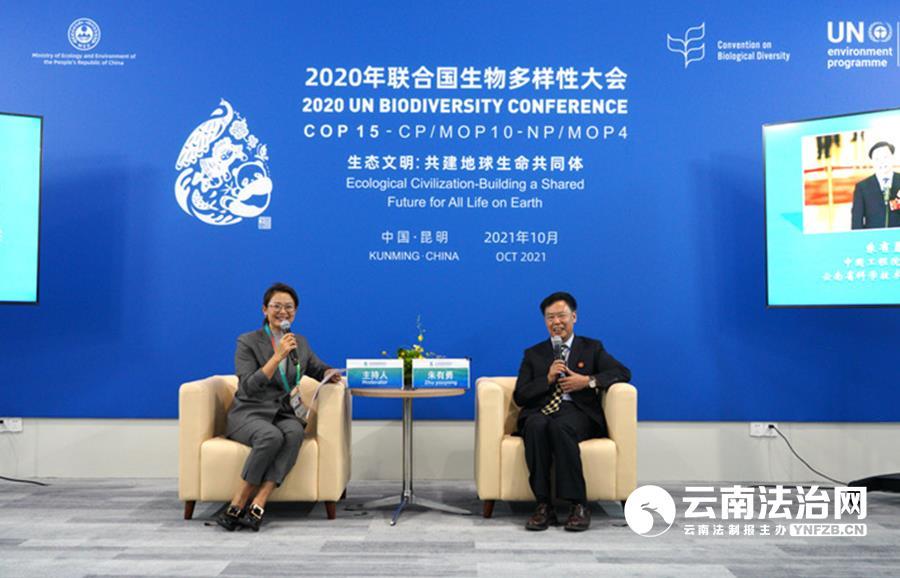 致富种植三七怎么样_种植三七致富_种植三七前景如何