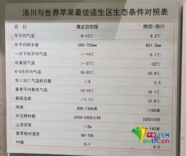 致富经种苹果视频_苹果种植致富故事_致富种植苹果故事视频