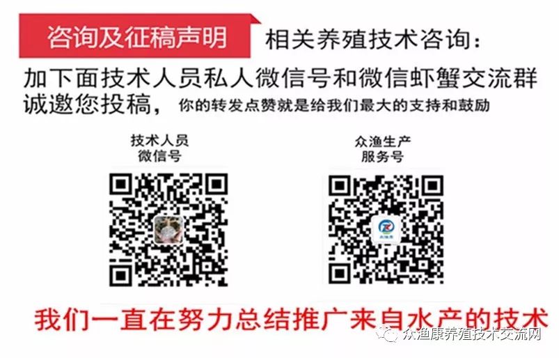 伊乐藻的种植技术_藻种的使用_伊乐藻种植视频