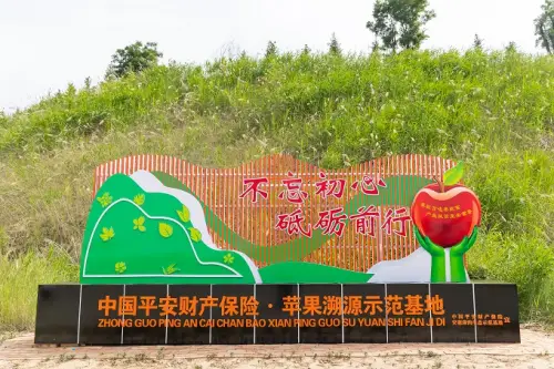 平安产险深圳分公司：一颗苹果的“保险+”，显示农户丰收的新故事