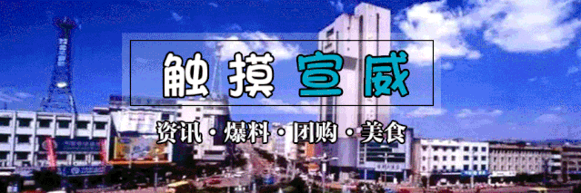 宣威97年农村小伙年入百万，种植何首乌闯出致富