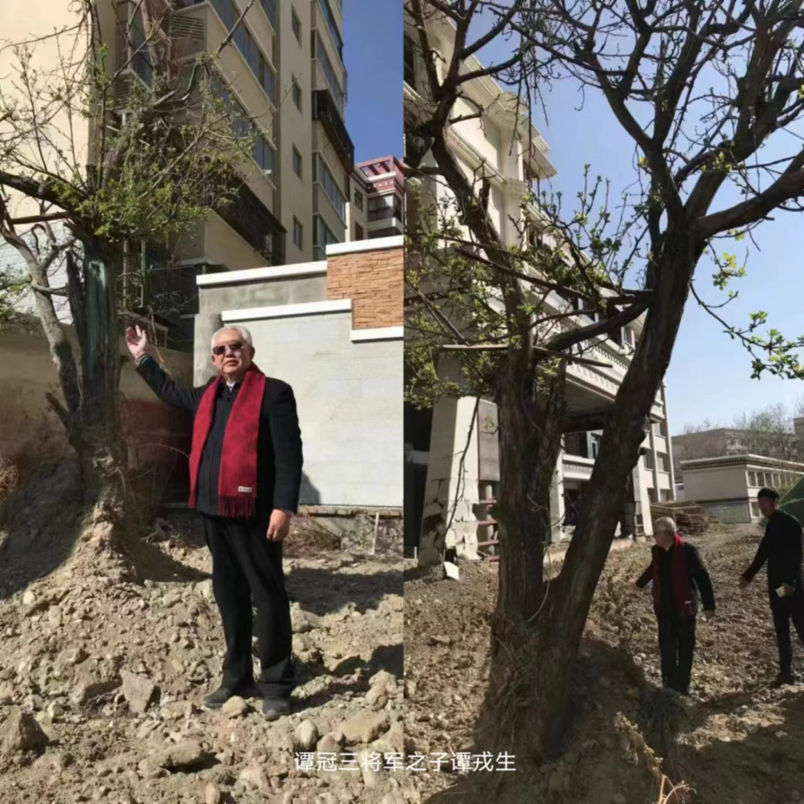 致富种植苹果故事_致富种植苹果故事简介_苹果种植致富故事