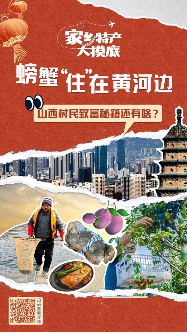 广西种植紫苏致富_致富广西种植紫苏视频_紫苏种植赚钱吗