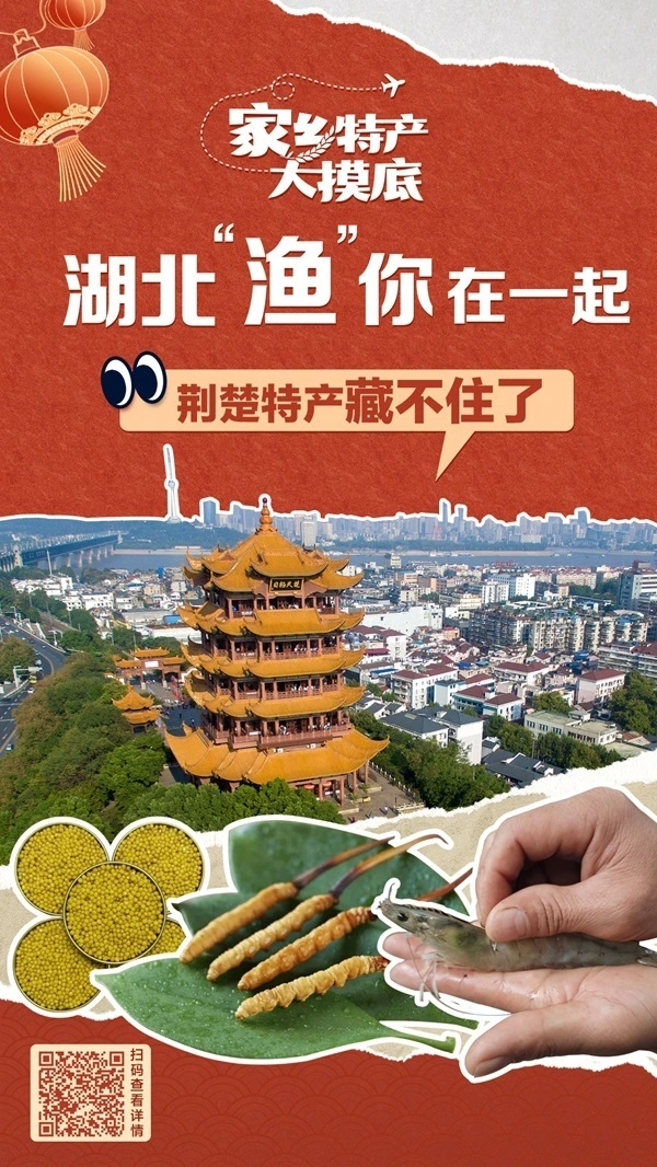 紫苏种植赚钱吗_广西种植紫苏致富_致富广西种植紫苏视频