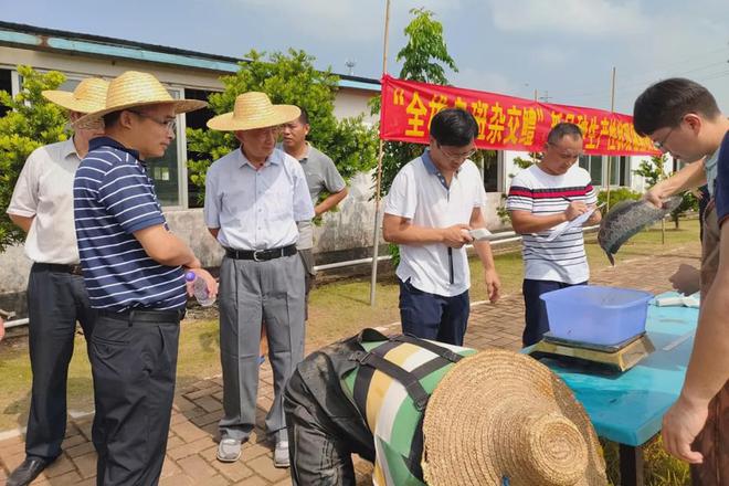 养杂交原鸡犯法吗_杂交鳢养殖技术_杂交生鱼养殖技术