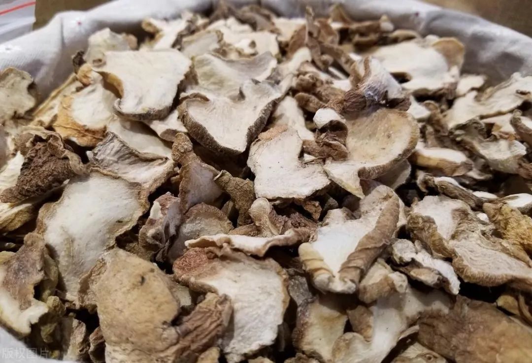 关于黄精种植技术_关于黄精种植技术_关于黄精种植技术