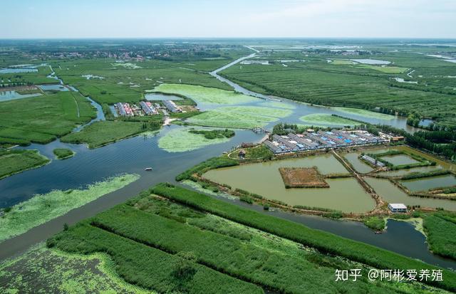 龙虾养殖基地图_农广天地龙虾养殖技术_农广天地小龙虾养殖