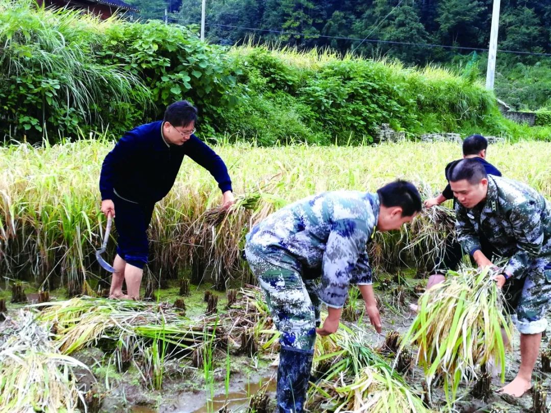 审计署定点扶贫贵州省丹寨县工作纪实