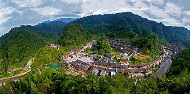 致富经林麝养殖_致富经林麝养殖视频_致富养殖林麝怎么养