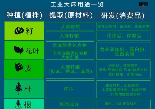 云南种植蘑菇致富_云南蘑菇种植基地_蘑菇致富云南种植视频