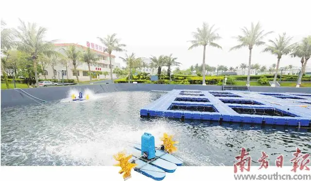 又一大鱼将从湛江游向世界